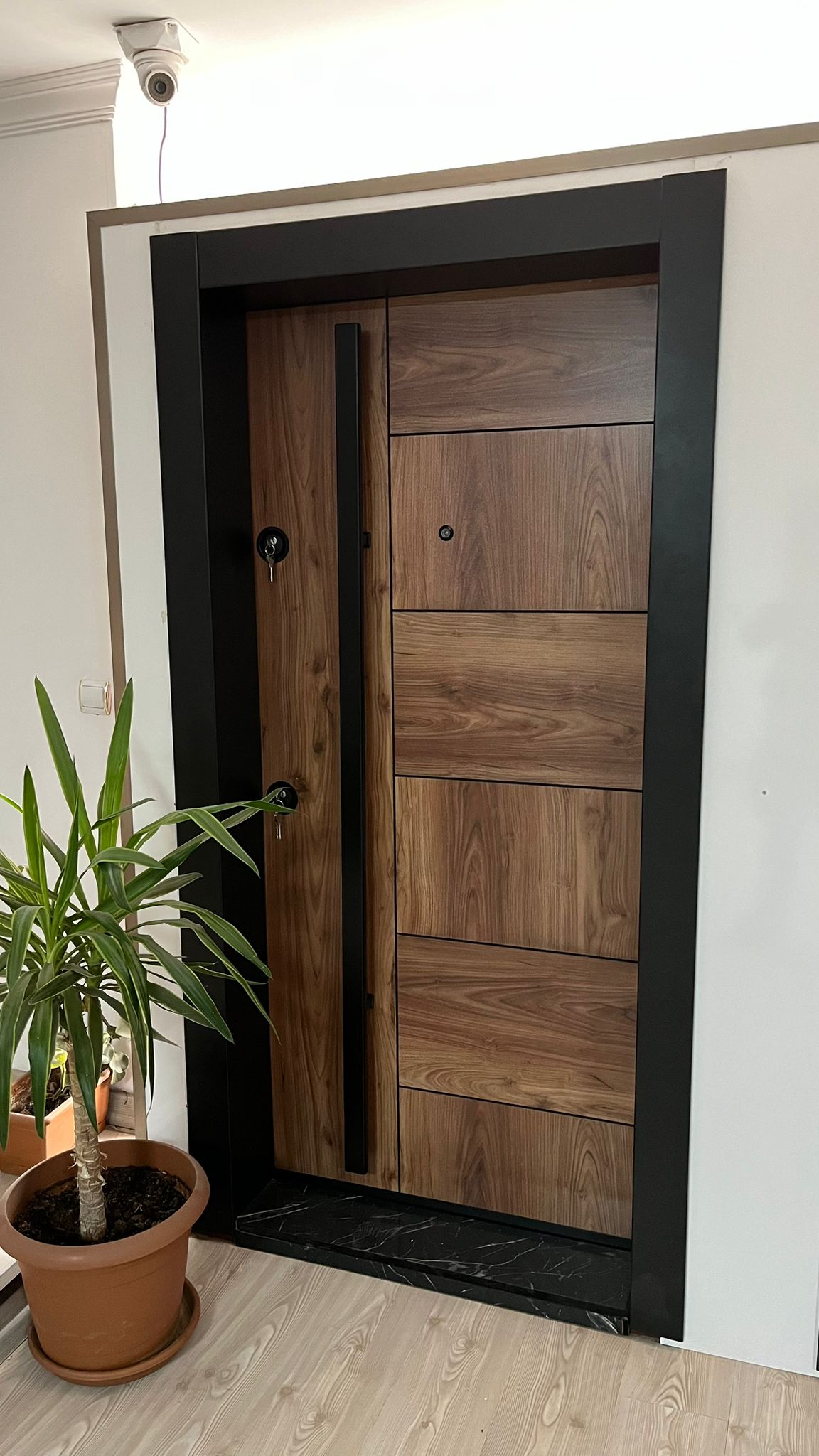 Bina Giriş Kapısı